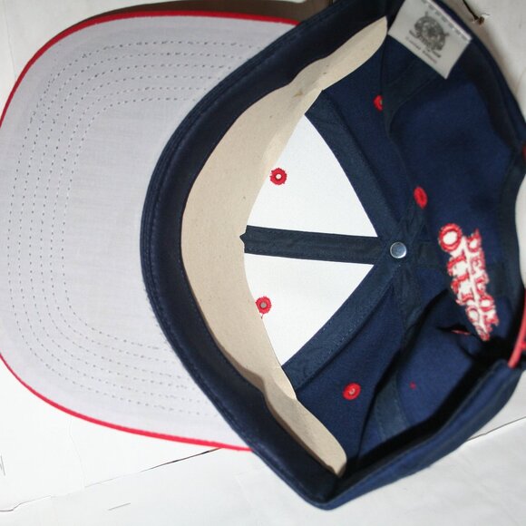 Vintage Florida Panthers NHL 5th Season 1997-1998 SnapBack Hat Cap 90s - Picture 6 of 6